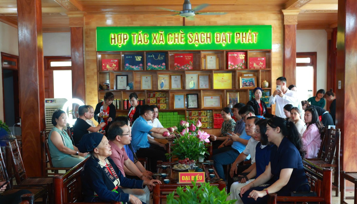 ຕົ້ນຊາອໍແກນນິກ ຕິດພັນກັບການພັດທະນາການທ່ອງທ່ຽວ ຢູ່ຕາແສງ ໂວແຈັງ ແຂວງ ໄທງວຽນ